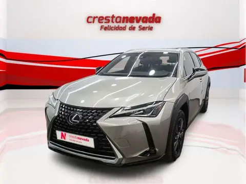 Annonce LEXUS UX Hybride 2019 d'occasion 