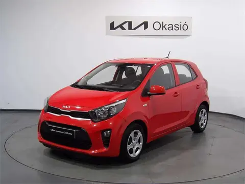 Used KIA PICANTO Petrol 2023 Ad 