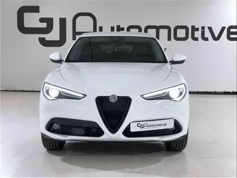 Used ALFA ROMEO STELVIO Diesel 2022 Ad 