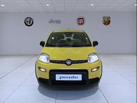 Annonce FIAT PANDA Essence 2024 d'occasion 