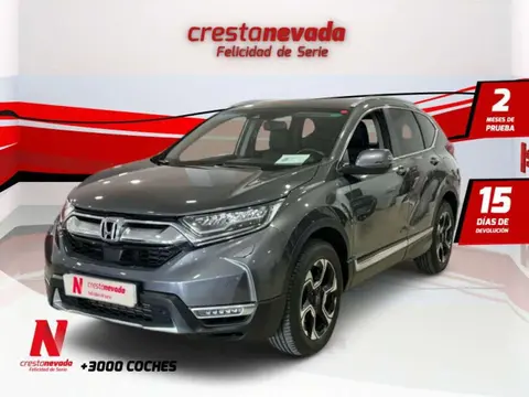 Used HONDA CR-V Petrol 2019 Ad 