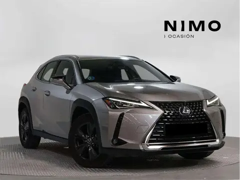 Used LEXUS UX  2020 Ad 