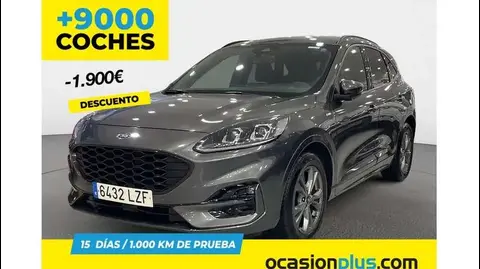 Used FORD KUGA Petrol 2022 Ad 