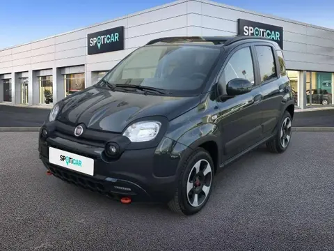 Used FIAT PANDA Petrol 2024 Ad 