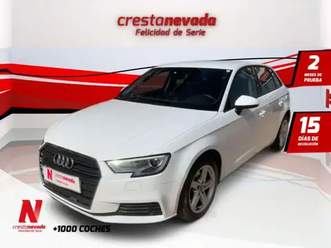 Annonce AUDI A3 Essence 2019 d'occasion 