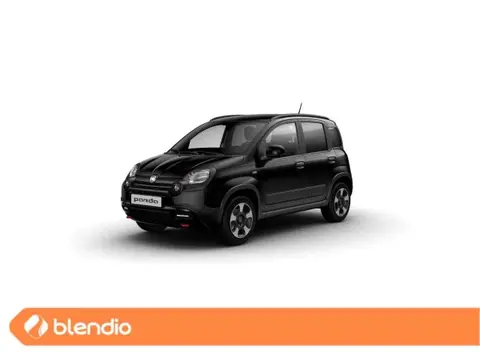 Used FIAT PANDA Hybrid 2024 Ad 