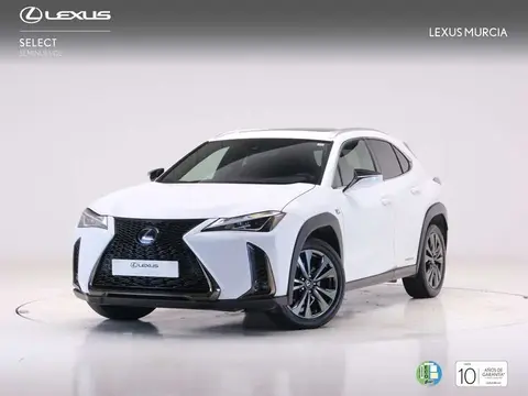 Annonce LEXUS UX Essence 2019 d'occasion 