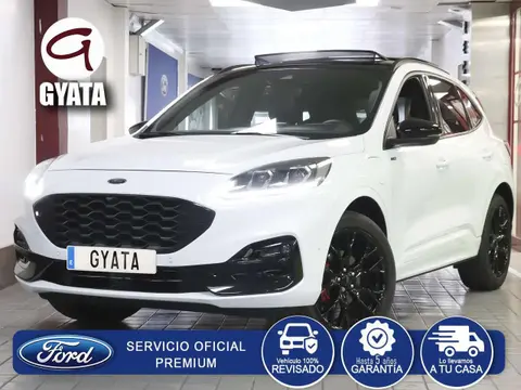 Used FORD KUGA Hybrid 2023 Ad 