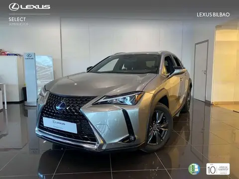 Annonce LEXUS UX  2020 d'occasion 