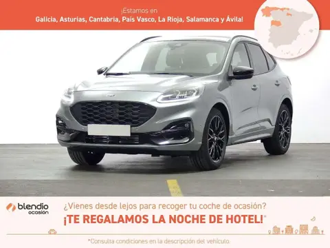 Annonce FORD KUGA Hybride 2023 d'occasion 