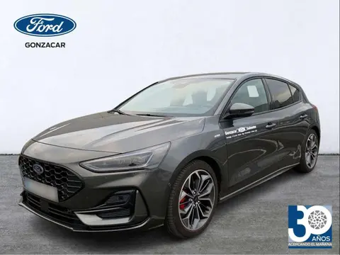 Used FORD FOCUS Petrol 2023 Ad 