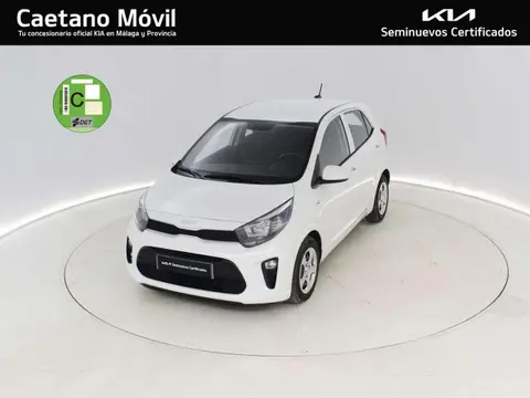 Used KIA PICANTO Petrol 2023 Ad 