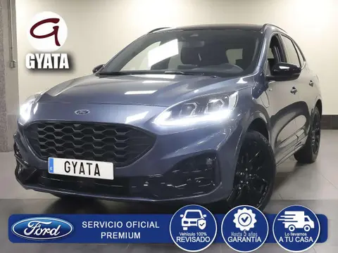 Used FORD KUGA Hybrid 2023 Ad 