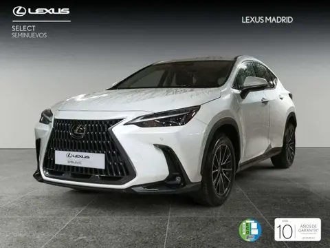 Annonce LEXUS NX Hybride 2024 d'occasion 