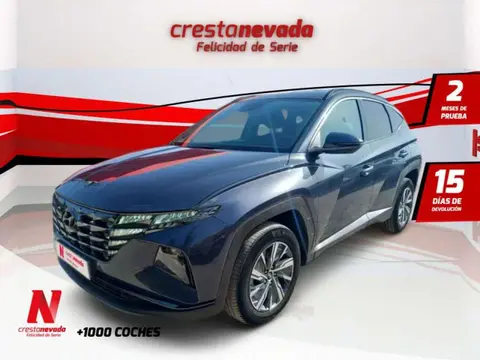 Used HYUNDAI TUCSON Hybrid 2022 Ad 