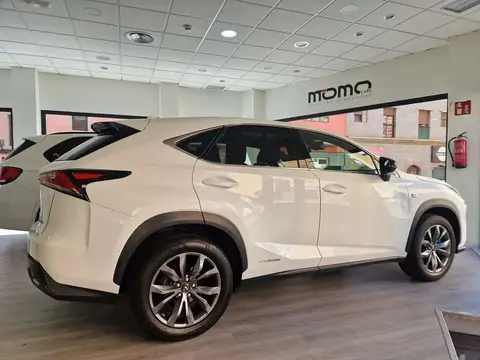 Annonce LEXUS NX Hybride 2019 d'occasion 