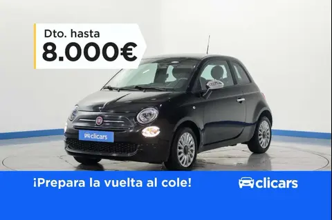 Used FIAT 500 Petrol 2023 Ad 