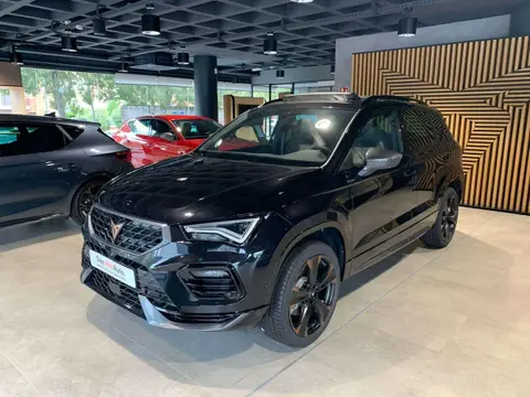 Annonce CUPRA ATECA Essence 2024 d'occasion 