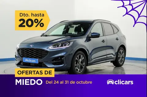 Used FORD KUGA Petrol 2022 Ad 