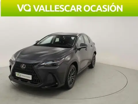 Annonce LEXUS NX Électrique 2024 d'occasion 