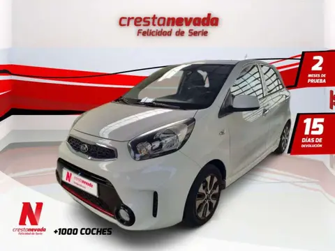 Annonce KIA PICANTO Essence 2016 d'occasion 