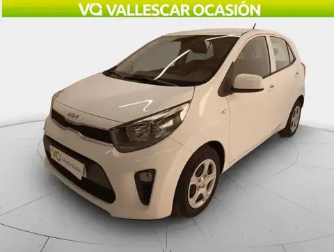 Annonce KIA PICANTO Essence 2024 d'occasion 