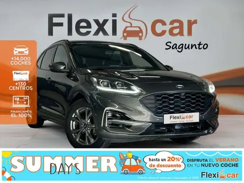 Used FORD KUGA Petrol 2020 Ad 