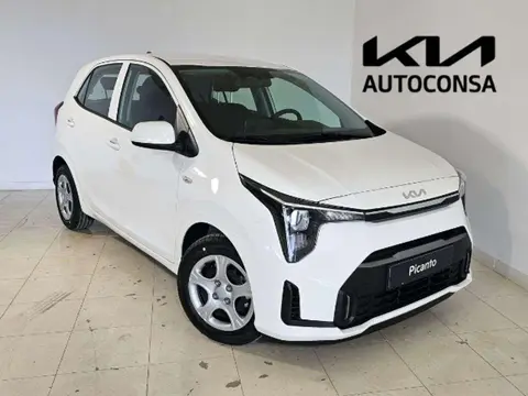 Annonce KIA PICANTO Essence 2024 d'occasion 