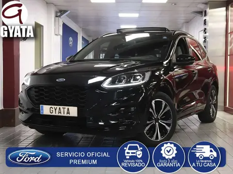 Used FORD KUGA Hybrid 2023 Ad 