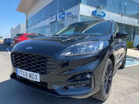 Annonce FORD KUGA Essence 2023 d'occasion 