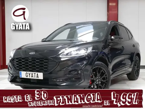 Used FORD KUGA Hybrid 2023 Ad 