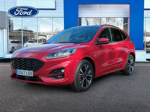 Annonce FORD KUGA Hybride 2020 d'occasion 