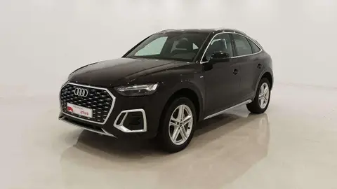 Used AUDI Q5 Hybrid 2024 Ad 