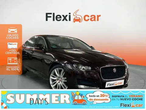 Annonce JAGUAR XF Diesel 2020 d'occasion 