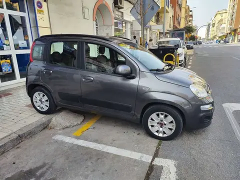 Used FIAT PANDA Petrol 2018 Ad 