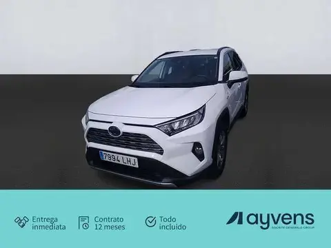 Used TOYOTA RAV4 Hybrid 2020 Ad 