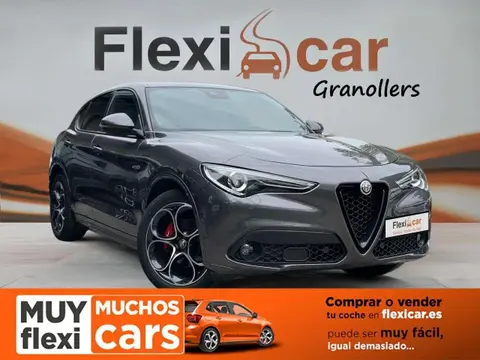 Annonce ALFA ROMEO STELVIO Diesel 2021 d'occasion 