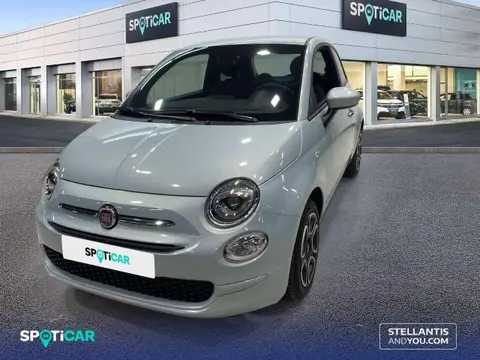 Used FIAT 500 Petrol 2023 Ad 