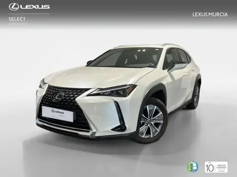 Used LEXUS UX Petrol 2024 Ad 