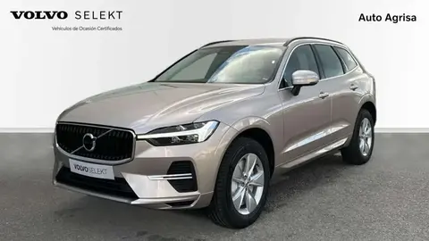 Annonce VOLVO XC60 Diesel 2024 d'occasion 