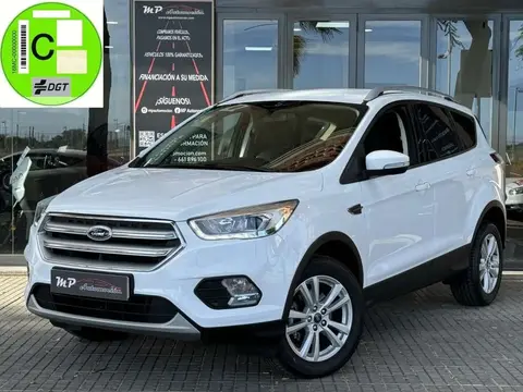 Used FORD KUGA Petrol 2019 Ad 