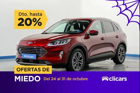 Annonce FORD KUGA Hybride 2020 d'occasion 