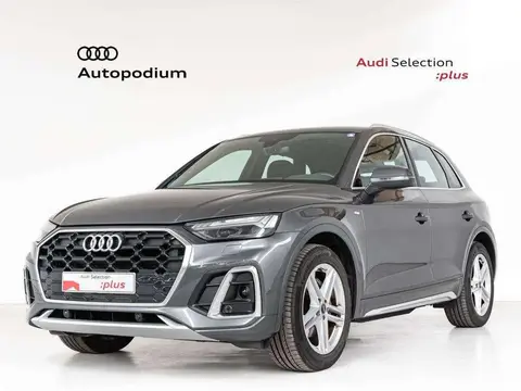 Annonce AUDI Q5 Diesel 2023 d'occasion 