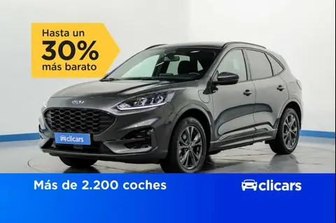 Annonce FORD KUGA Hybride 2022 d'occasion 