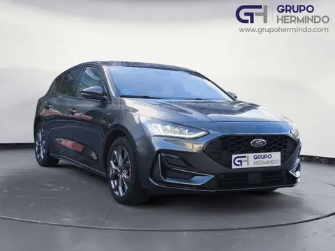 Annonce FORD FOCUS Hybride 2023 d'occasion 