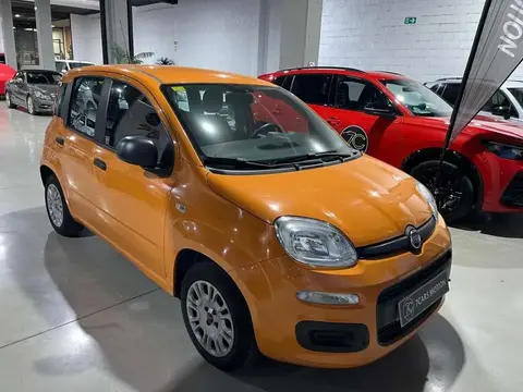 Used FIAT PANDA Petrol 2017 Ad 