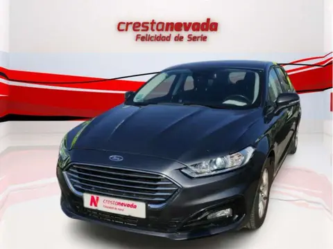 Annonce FORD MONDEO Diesel 2019 d'occasion 