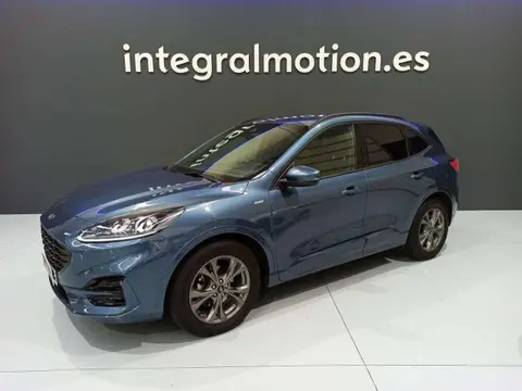 Annonce FORD KUGA Diesel 2022 d'occasion 