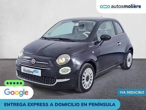 Used FIAT 500 Petrol 2023 Ad 