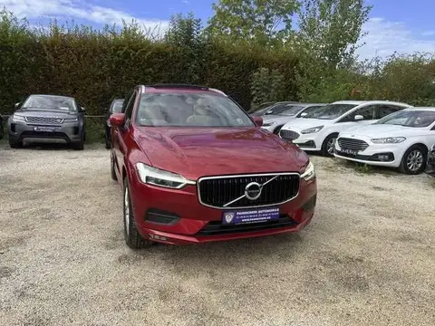 Used VOLVO XC60 Diesel 2020 Ad 